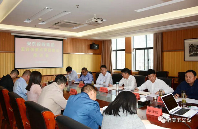 安東控股推進重點項目建設(shè)1.jpg