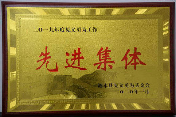 2019年度見義勇為工作先進集體.JPG